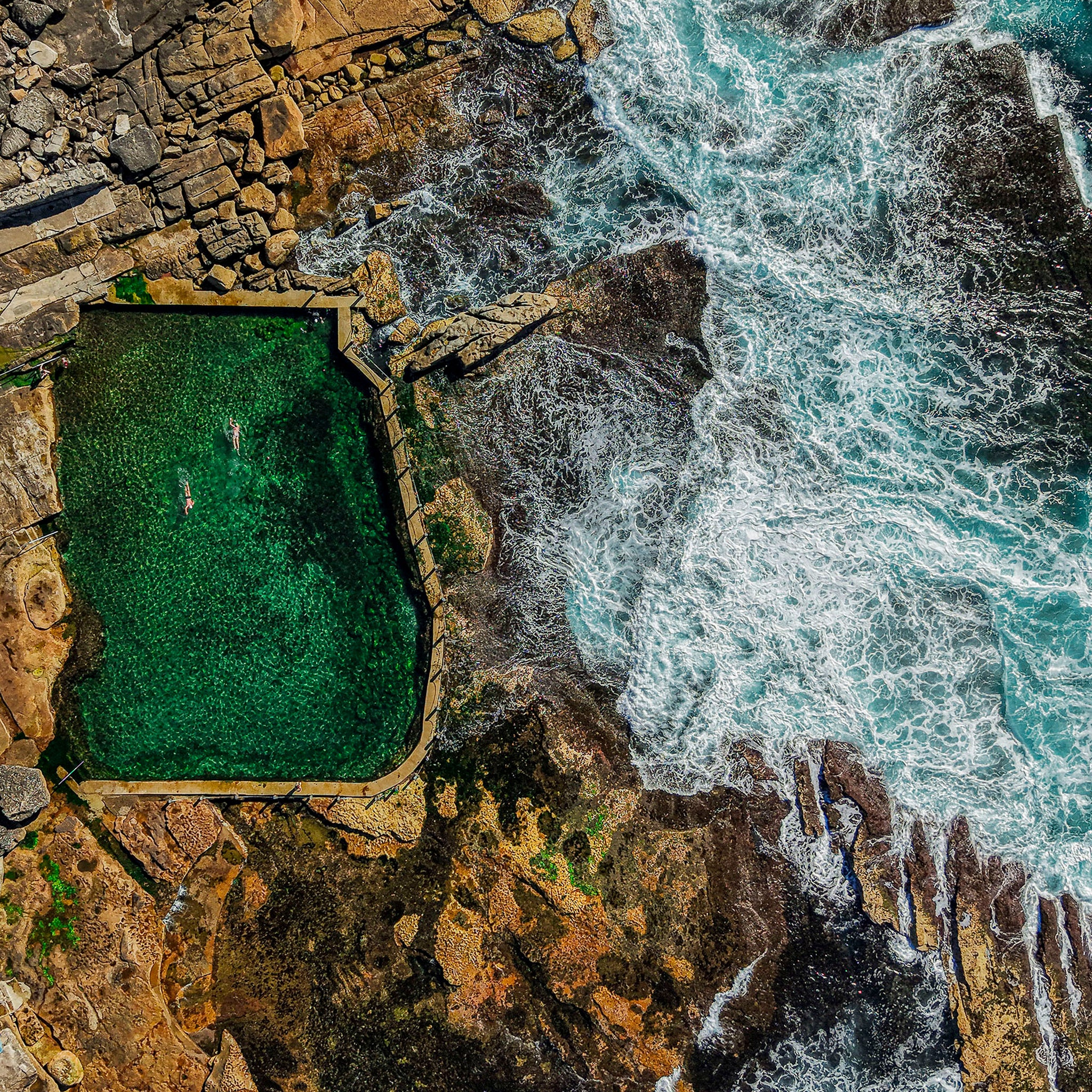 Morning Laps at Mahon Pool