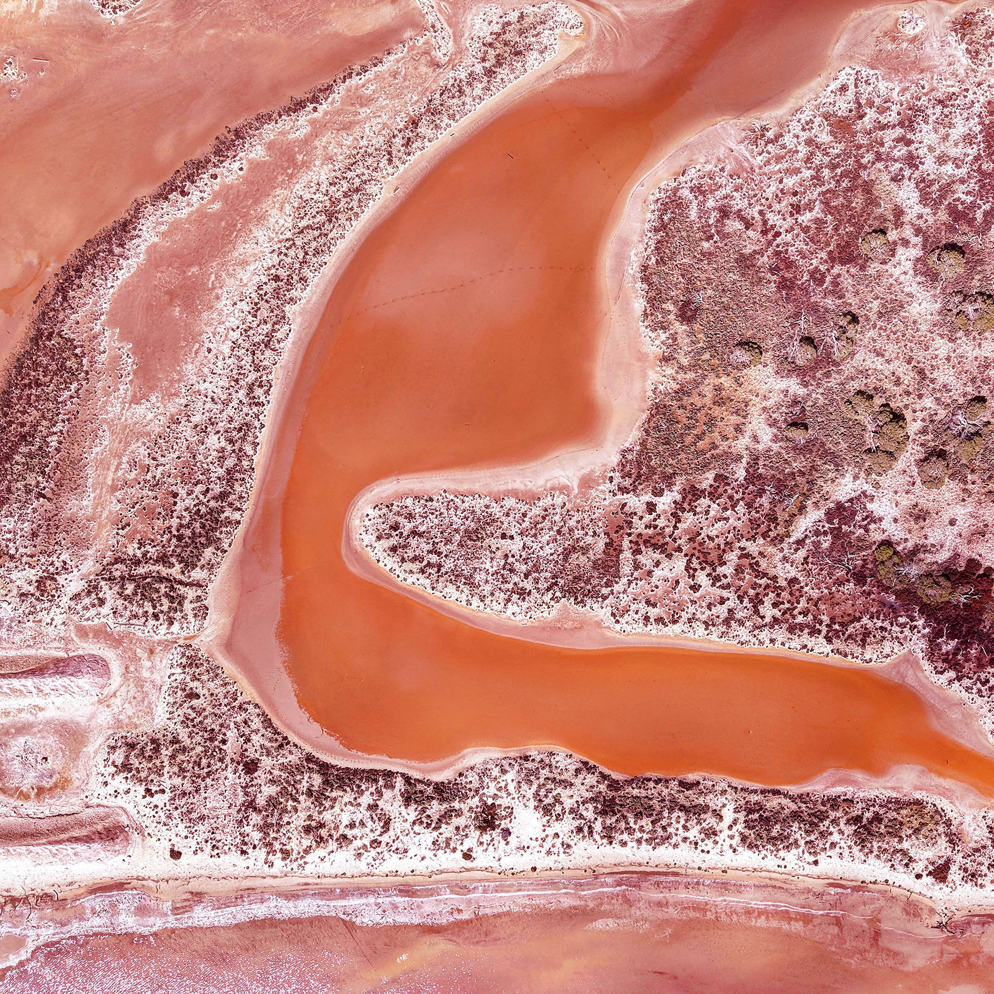 Lake Tyrrell Patterns 6