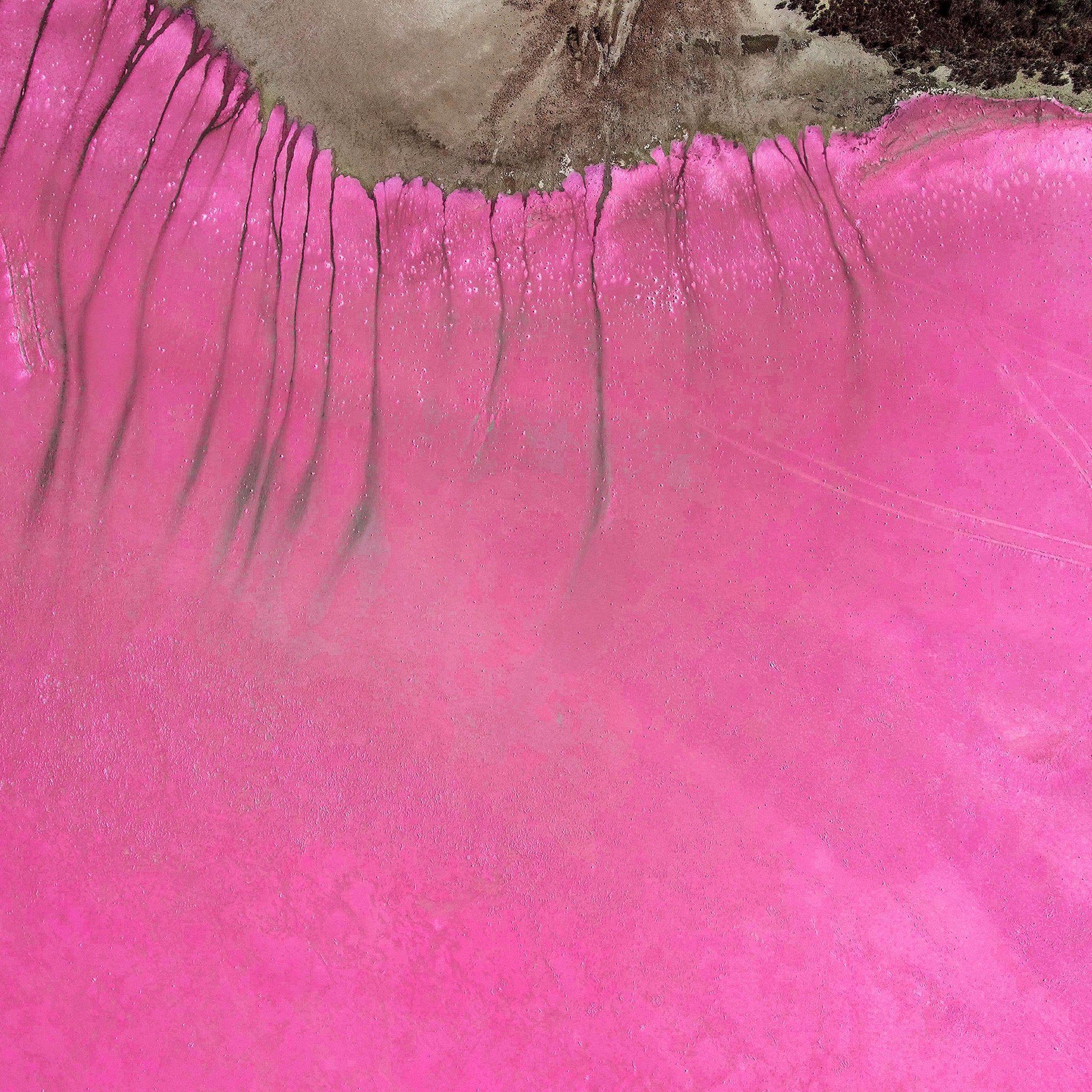 Pink Lake Patterns SA