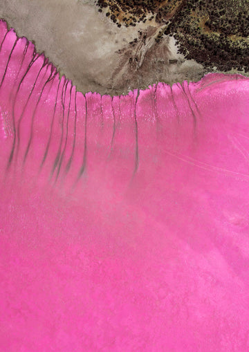 Pink Lake Patterns SA