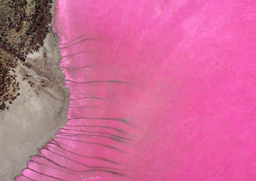 Pink Lake Patterns SA